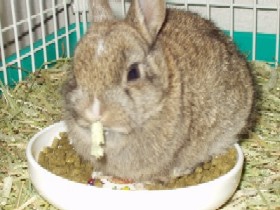 お皿にのって・・・