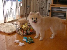 ういんく 009.jpg