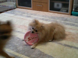 貸さないよっ!!