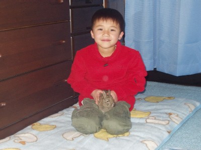 あかちゃんもか