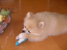 ういんく 017.jpg