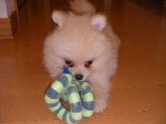 ういんく 022.jpg