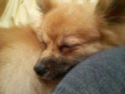 こんな顔~ ( ̄w ̄) ぷっ