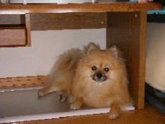 ういんく 025.jpg