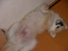 ういんく 033.jpg