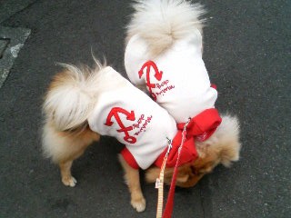 クンクン クンクン なんか匂うの??