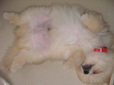 ういんく 031.jpg