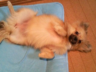 (*´0)ゞファァ~~♪