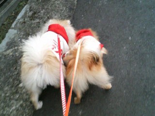 そ・・そんなにひっつかないで・・・