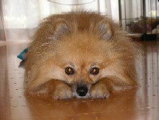 ういんく 035.jpg