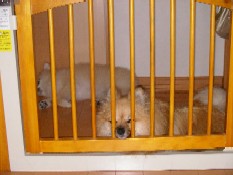 ういんく 026.jpg