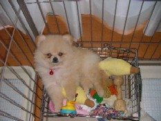 ういんく 036.jpg