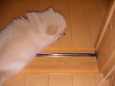 ういんく 027.jpg