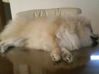 お疲れまめ兄ちゃん