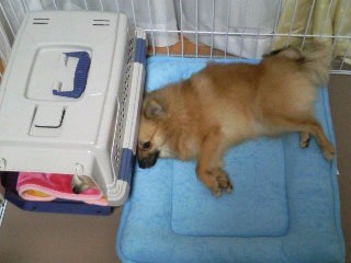 だって狭いだろ・・・