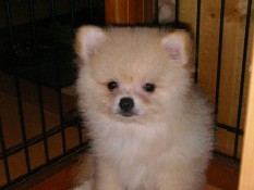 ういんく 002.jpg