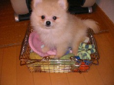 ういんく 003.jpg