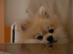 ういんく 004.jpg