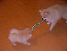 ういんく 004.jpg