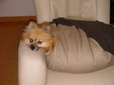 ういんく 005.jpg