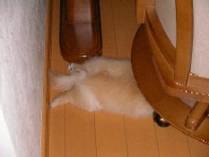 ういんく 021.jpg