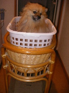 ういんく 039.jpg