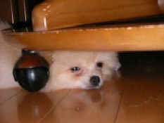 ういんく 023.jpg