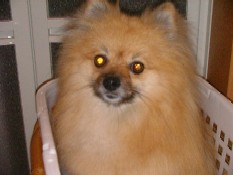 ういんく 040.jpg