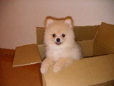 ういんく 009.jpg