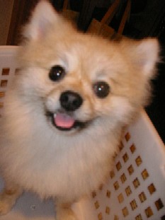 ういんく 038.jpg