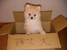 ういんく 011.jpg