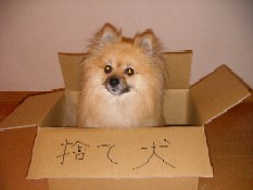 ういんく 018.jpg