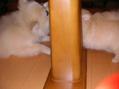 ういんく 041.jpg