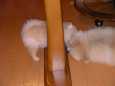 ういんく 042.jpg