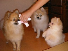 ういんく 012.jpg