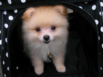 ういんく 064.jpg