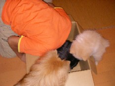 ういんく 015.jpg