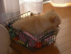 ういんく 065.jpg