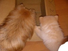 ういんく 017.jpg