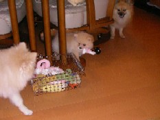 ういんく 020.jpg