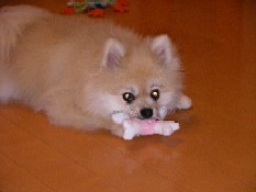 ういんく 016.jpg