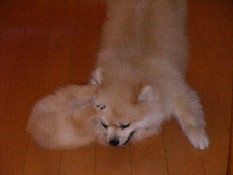 ういんく 045.jpg