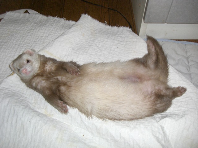 CIMG0736.jpg