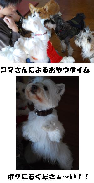 おやつタイム☆