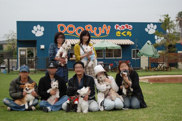 ドッグランきくちでぱちり☆