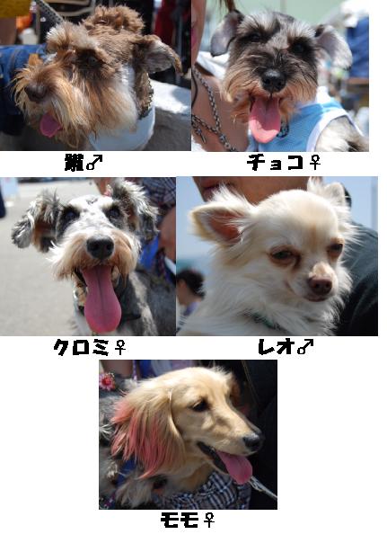 ＳＣＨＮＡ☆ＢＡＫＡメンバー２