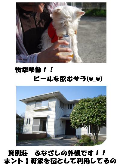 衝撃映像発見！！