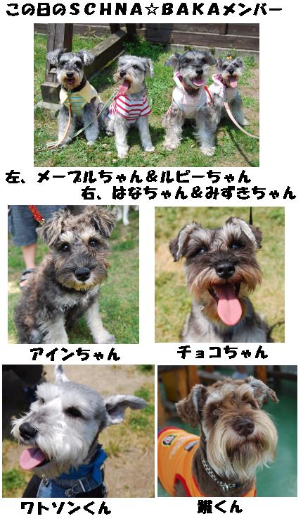 Schna☆Baka in トリアス久山