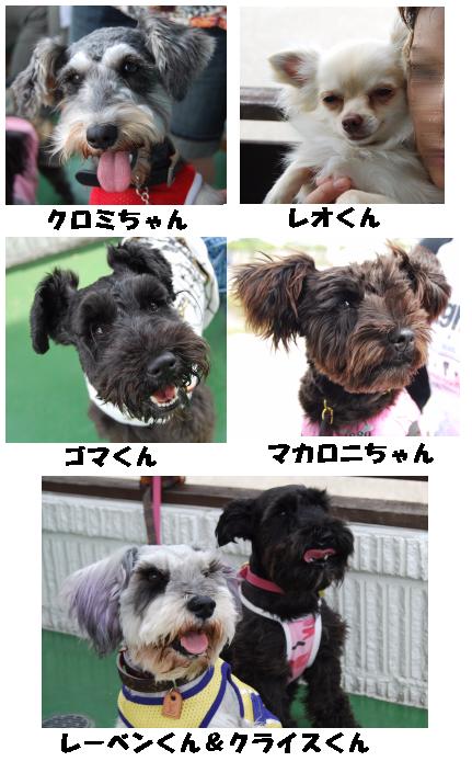 Schna☆Baka in トリアス久山2