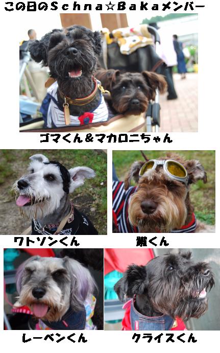 Schna☆Baka in はな阿蘇美１